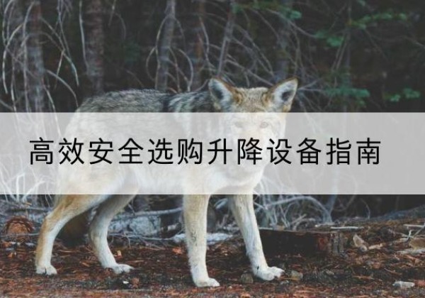 丰台区升降货梯厂家推荐-*安全选购升降设备指南