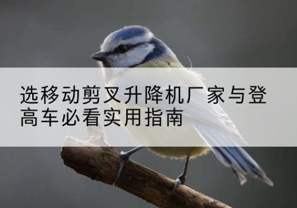 丰台区电动升降机厂家-选移动剪叉升降机厂家与登高车必看实用指南